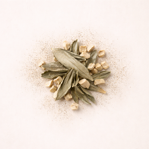 Probiotic & Vitamin Support | AM Formula